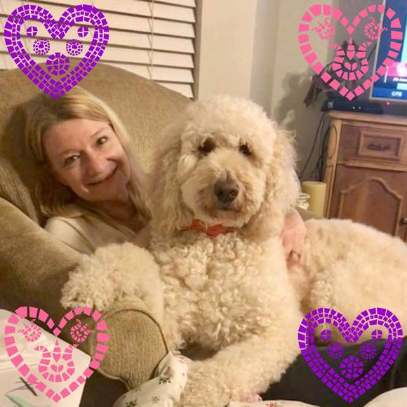 Meet your Posher, Misty - Picture 2 of 4